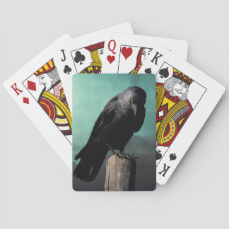 Kråka Casinokort