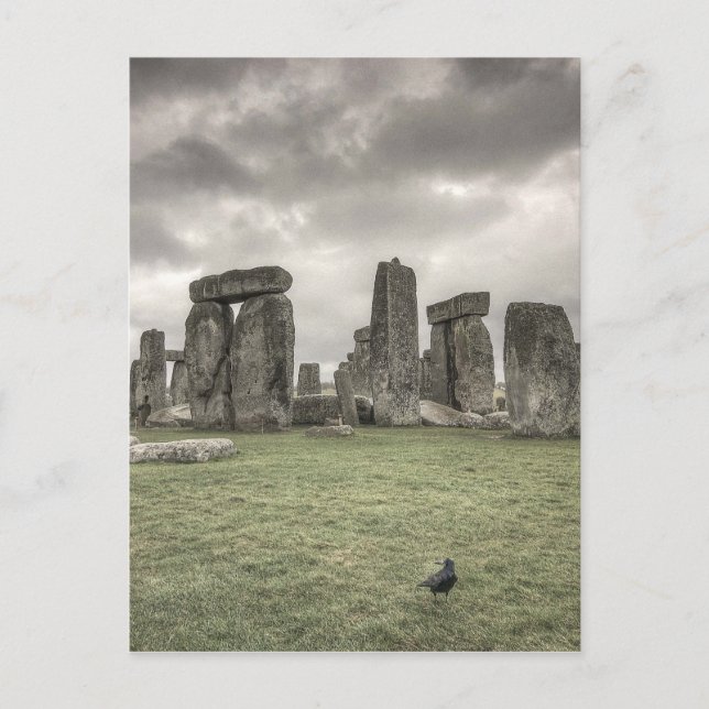 Kråka framför Stonehenge, England Vykort (Framsida)