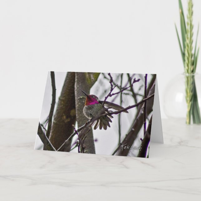 Kråka Hummer-kort Kort (Framsida)