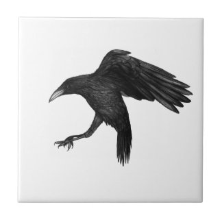 Kråka Illustration Kakelplatta