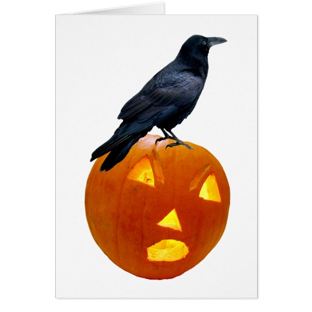 Kråka Jack-o-Lantern-kort Hälsningskort (Framsidan)