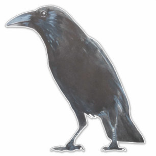 Kråka Klistermärken