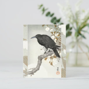 Kråka Korp Koson Japansk Fågel Kråka