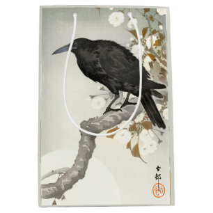 Kråka Korp Koson Japansk Fågel Kråka