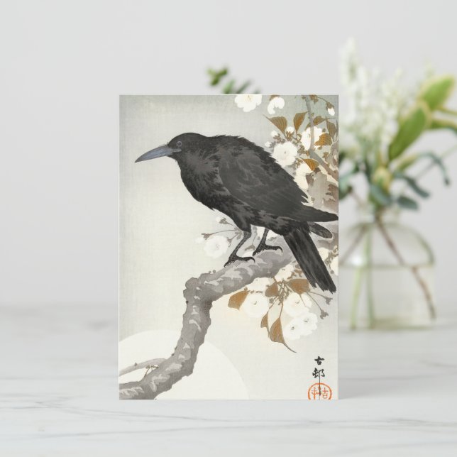 Kråka Korp Koson Japansk Fågel Kråka (Stående Fram)