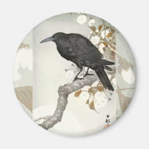 Kråka Korp Koson Japansk Fågel Kråka Magnet