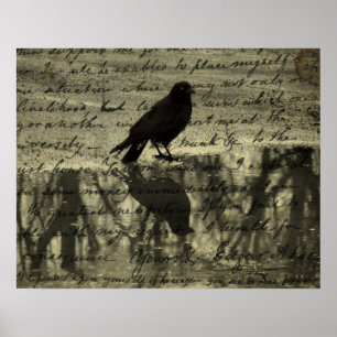 Kråka och Poe Poster