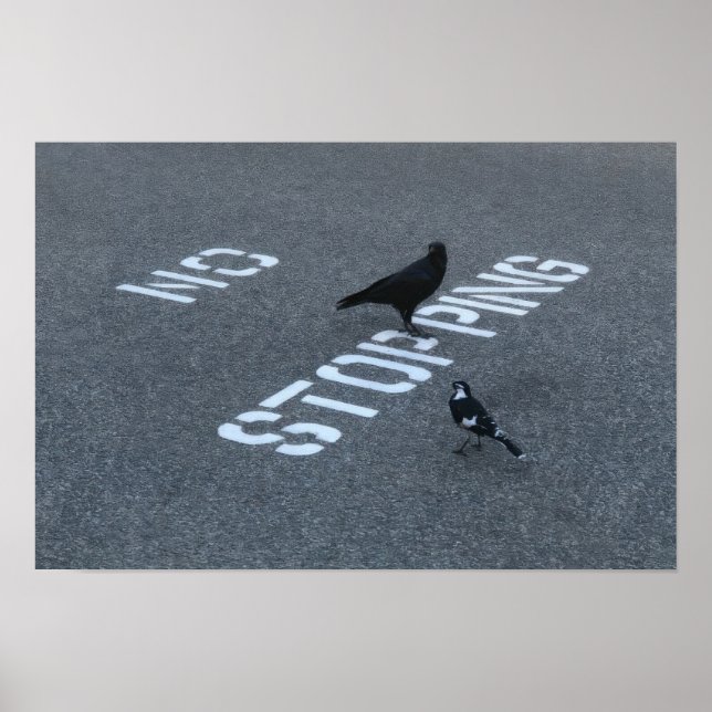 Kråka och skata poster (Framsidan)