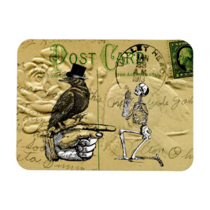 Kråka och skelett magnet