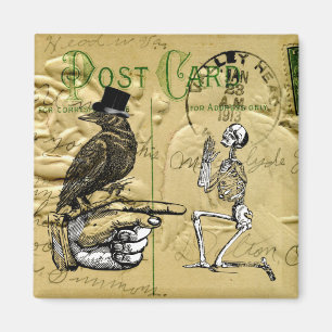 Kråka och skelett magnet