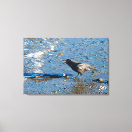 Kråka om Mutiny Bay Canvastryck