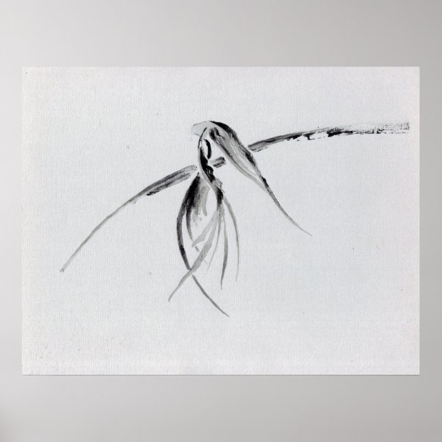 Kråka Poster (Framsidan)