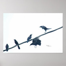Kråka Poster akrobatik