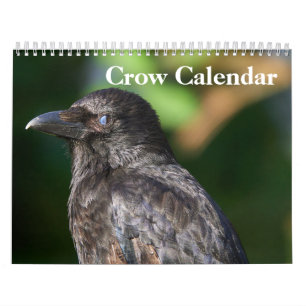 Kråka Raven 2025 Kalender