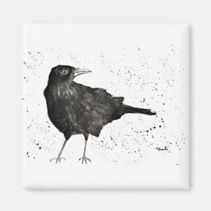 Kråka Raven Magnet