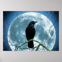 Kråka Raven Måne Night Gothic Fantasy Stunning