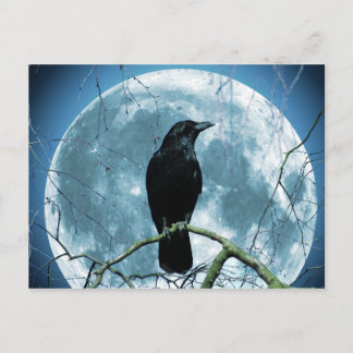 Kråka Raven Måne Night Gothic Fantasy Stunning Vykort