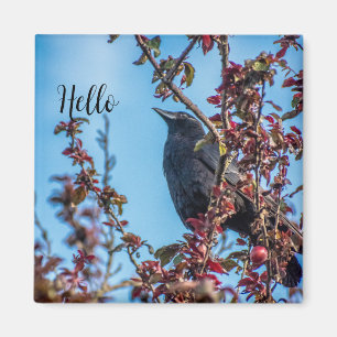 Kråka Säger Hej Magnet
