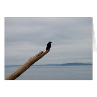 Kråka Sentinel Hälsningskort