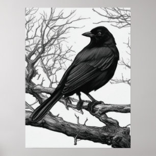 Kråka sittande på kala vintergrenar poster