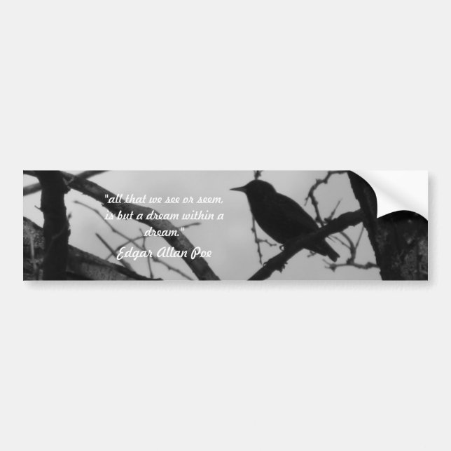 Kråkabildekal Bildekal (Framsidan)