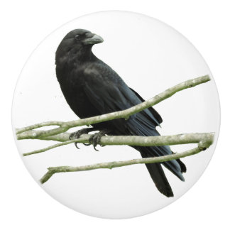 Kråkaenhetsknopp Knopp