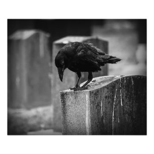 Kråkan Falln Cemetery Fototryck