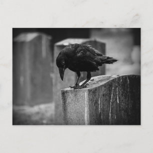 Kråkan Falln Cemetery Vykort