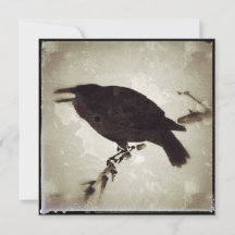 Kråkan Grunge