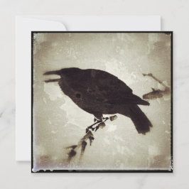 Kråkan Grunge