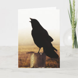 Kråkan Kort