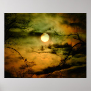 Kråkan och det myntande Himlar Poster