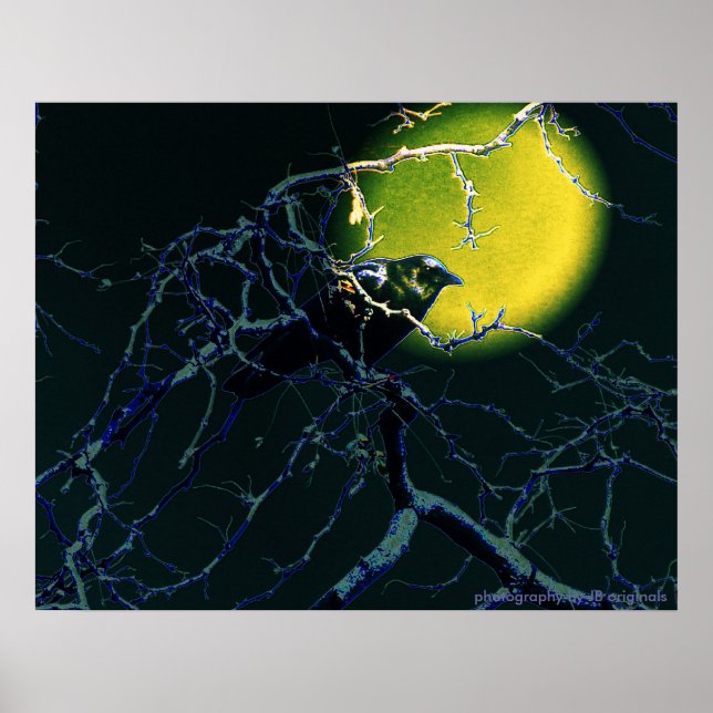 Kråkan poster (Framsidan)