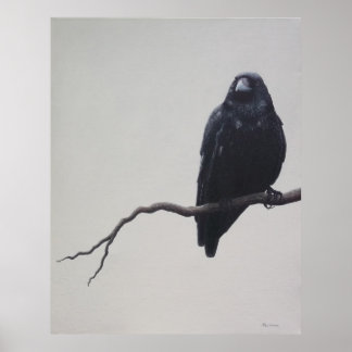 Kråkan Poster