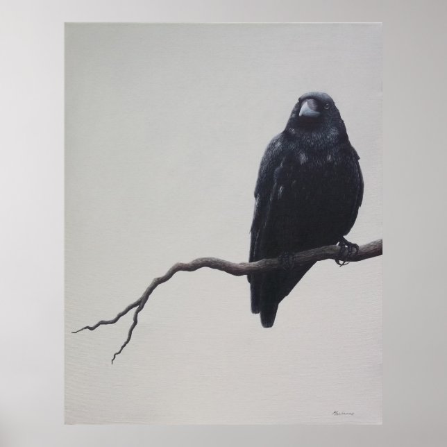 Kråkan Poster (Framsidan)