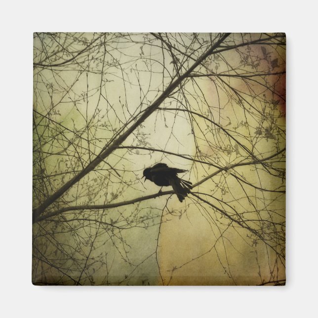 Kråkan talar magnet (Framsidan)