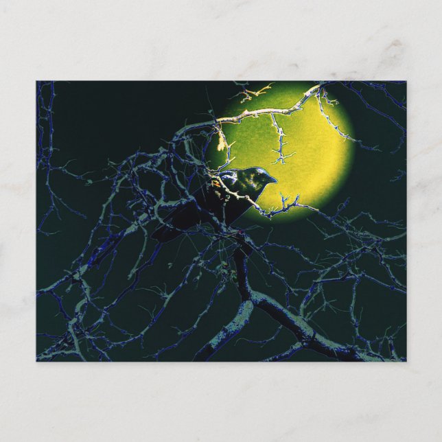 kråkan vykort (Framsida)