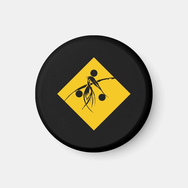 Kråkans tecken magnet (Framsidan)