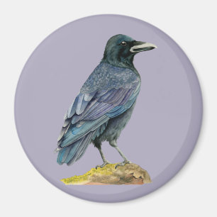 Kråkavattenfärgmålning Magnet