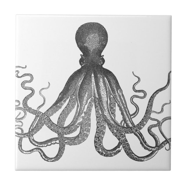 Kraken - Black Giant Octopus / Cthulu Kakelplatta (Framsidan)