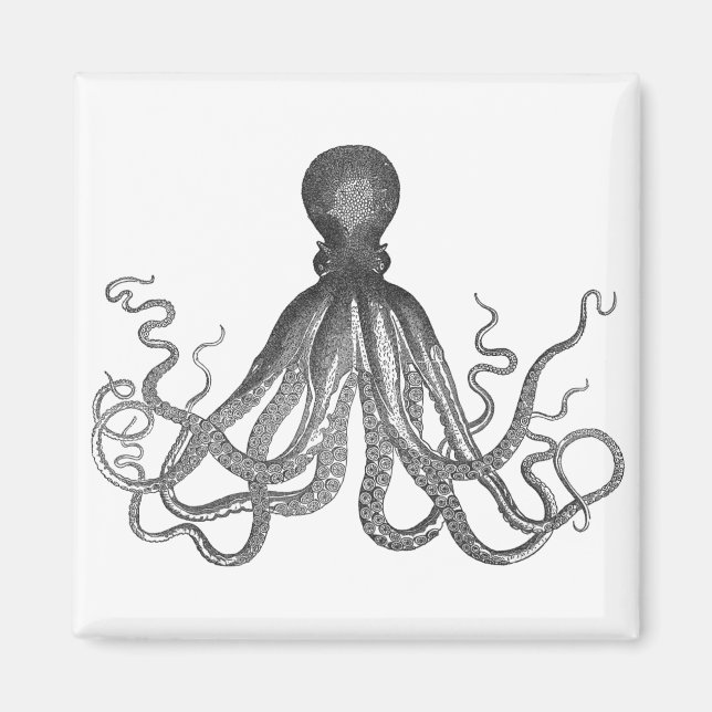 Kraken - Black Giant Octopus / Cthulu Magnet (Framsidan)