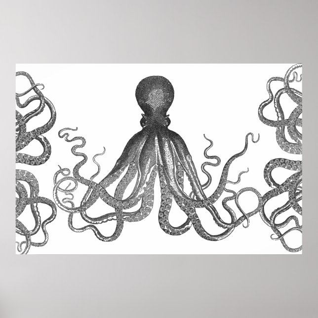 Kraken - Black Giant Octopus / Cthulu Poster (Framsidan)