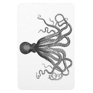 Kraken - svart jätte- bläckfisk/Cthulu Magnet