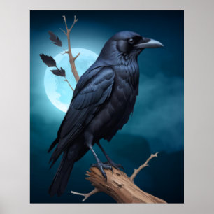 Kråkor av fågelnatur Moonlight Corvid  Poster