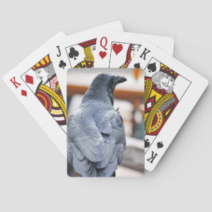 Kråkor Casinokort