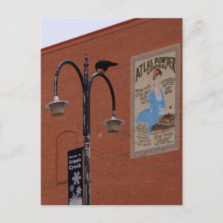 Kråkor & Dynamit Vykort