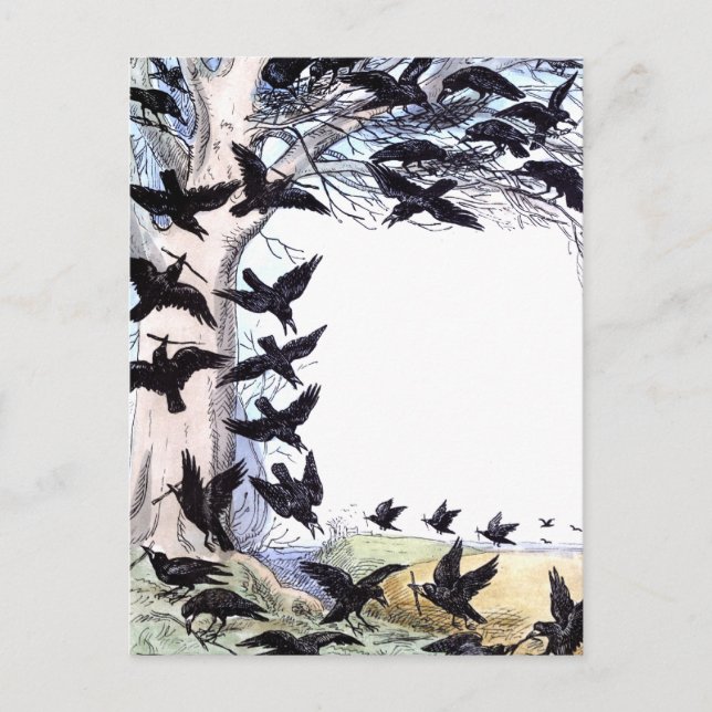 Kråkor Helg Vykort (Framsida)