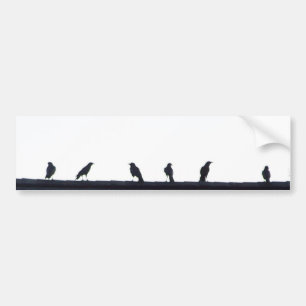 Kråkor i en fodra bildekal