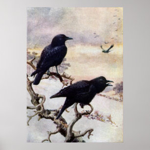 Kråkor i vintervintageillustration poster