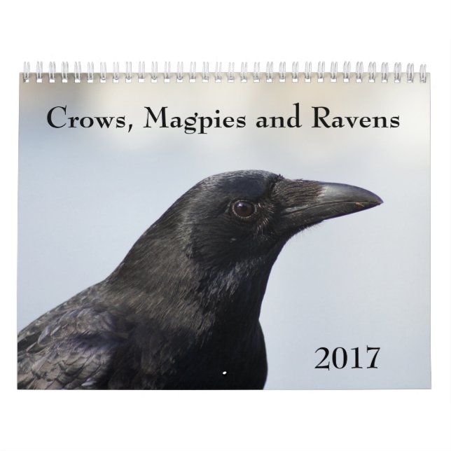 Kråkor, magister och Ravens 2017-kalender Kalender (Omslag)